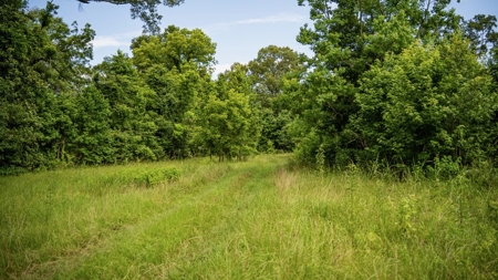 East Baton Rouge Recreational Land for Sale - image 47