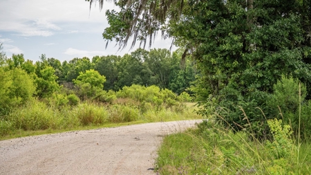 East Baton Rouge Recreational Land for Sale - image 42
