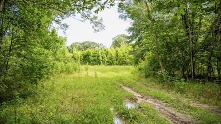 East Baton Rouge Recreational Land for Sale - image 45