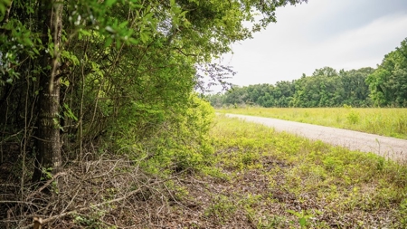 East Baton Rouge Recreational Land for Sale - image 37