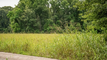 East Baton Rouge Recreational Land for Sale - image 38