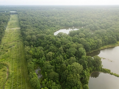 East Baton Rouge Recreational Land for Sale - image 17