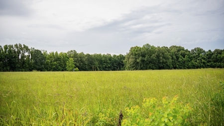 East Baton Rouge Recreational Land for Sale - image 41