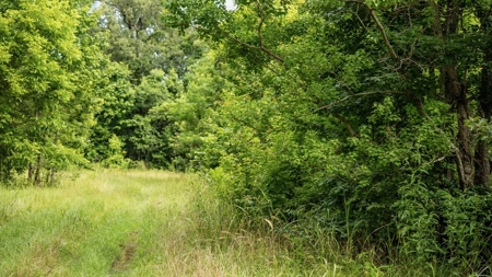 East Baton Rouge Recreational Land for Sale - image 46