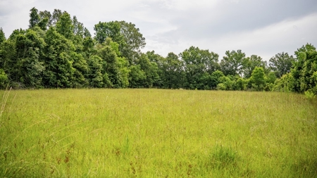 East Baton Rouge Recreational Land for Sale - image 43