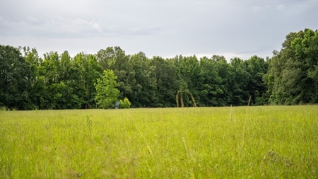 East Baton Rouge Recreational Land for Sale - image 40