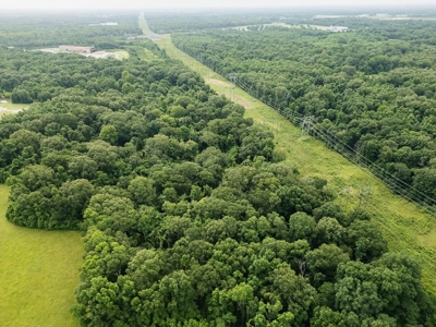 East Baton Rouge Recreational Land for Sale - image 4
