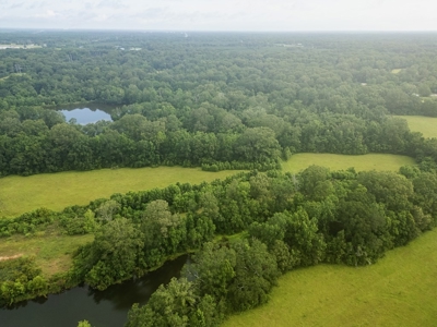 East Baton Rouge Recreational Land for Sale - image 26