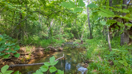 Country Home/Retreat for sale in North Arkansas - image 32