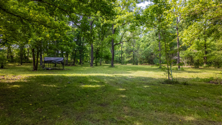 Country Home/Retreat for sale in North Arkansas - image 33
