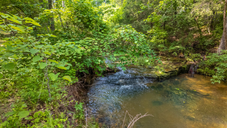 Country Home/Retreat for sale in North Arkansas - image 36