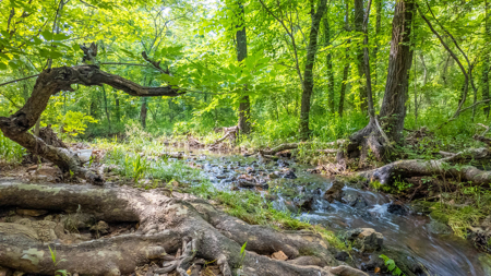 Country Home/Retreat for sale in North Arkansas - image 37