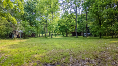 Country Home/Retreat for sale in North Arkansas - image 35