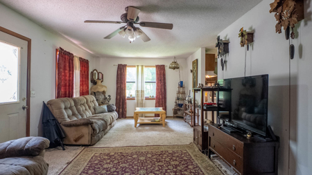 Country Home/Retreat for sale in North Arkansas - image 26