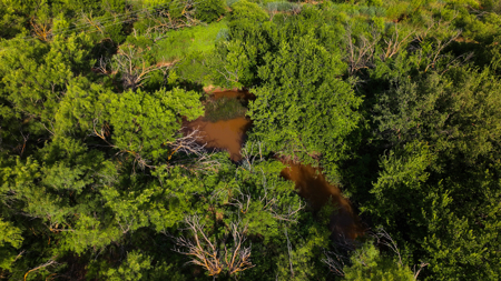 45 ac Hunting/Ranching Property in Archer County TX - image 43