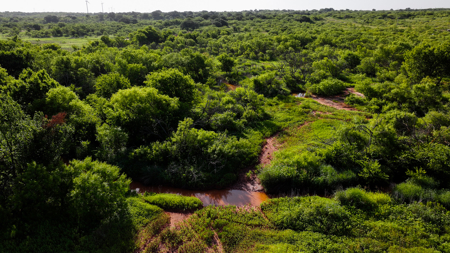 45 ac Hunting/Ranching Property in Archer County TX - image 6