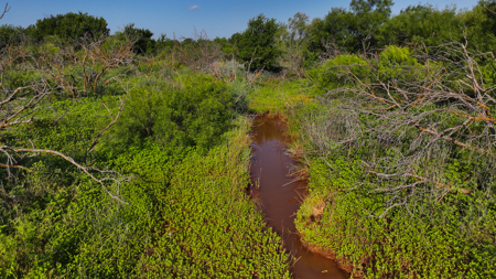 45 ac Hunting/Ranching Property in Archer County TX - image 35