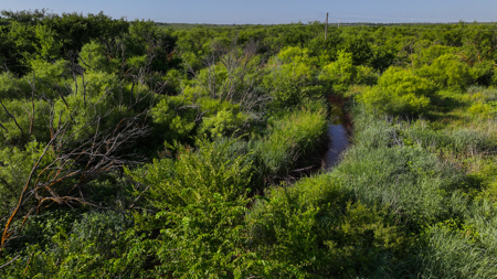 45 ac Hunting/Ranching Property in Archer County TX - image 46