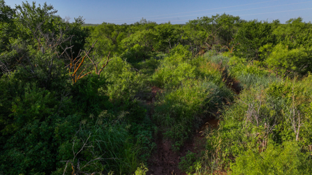 45 ac Hunting/Ranching Property in Archer County TX - image 3
