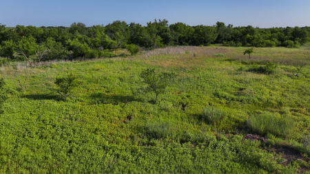 45 ac Hunting/Ranching Property in Archer County TX - image 14