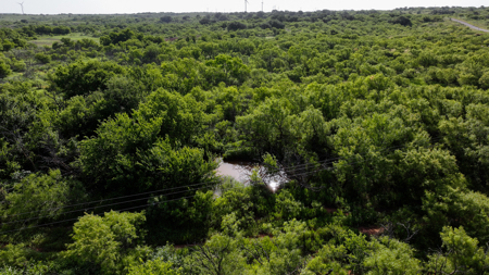 45 ac Hunting/Ranching Property in Archer County TX - image 41