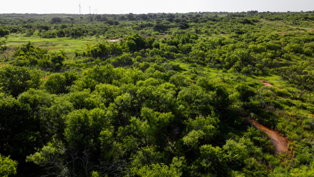 45 ac Hunting/Ranching Property in Archer County TX - image 7