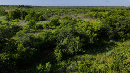 45 ac Hunting/Ranching Property in Archer County TX - image 33