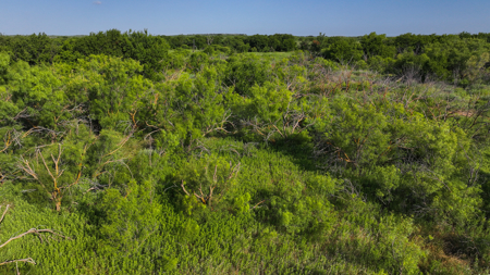 45 ac Hunting/Ranching Property in Archer County TX - image 36
