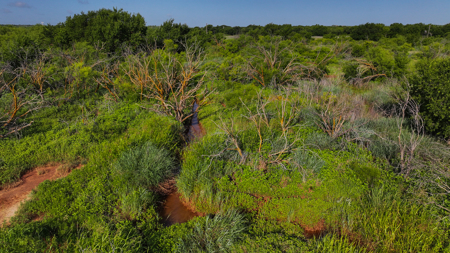 45 ac Hunting/Ranching Property in Archer County TX - image 31