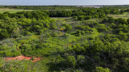 45 ac Hunting/Ranching Property in Archer County TX - image 39