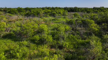 45 ac Hunting/Ranching Property in Archer County TX - image 37