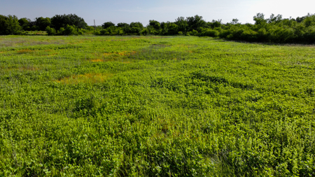 45 ac Hunting/Ranching Property in Archer County TX - image 44