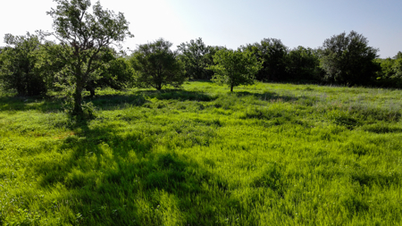 45 ac Hunting/Ranching Property in Archer County TX - image 23