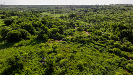 45 ac Hunting/Ranching Property in Archer County TX - image 5