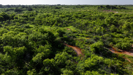45 ac Hunting/Ranching Property in Archer County TX - image 8