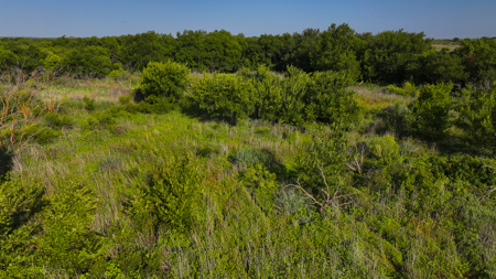 45 ac Hunting/Ranching Property in Archer County TX - image 15