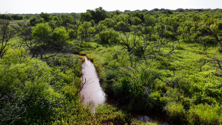 45 ac Hunting/Ranching Property in Archer County TX - image 11