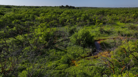 45 ac Hunting/Ranching Property in Archer County TX - image 34