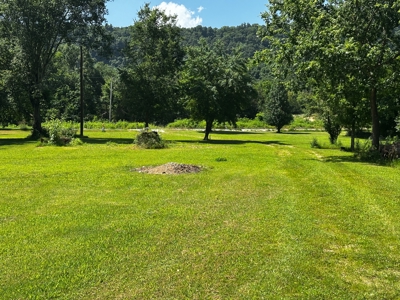 Cozy Cabin on 4.5 Level Acres in Stone County - image 26