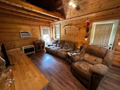 Cozy Cabin on 4.5 Level Acres in Stone County - image 9