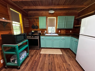 Cozy Cabin on 4.5 Level Acres in Stone County - image 5