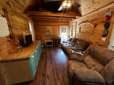 Cozy Cabin on 4.5 Level Acres in Stone County - image 7