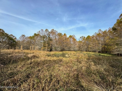 Tensas Parish LA - The Glade Hunting Property - image 47
