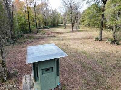 Tensas Parish LA - The Glade Hunting Property - image 14