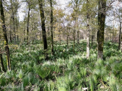 Tensas Parish LA - The Glade Hunting Property - image 21