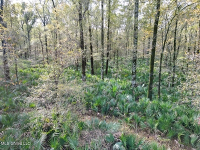 Tensas Parish LA - The Glade Hunting Property - image 19