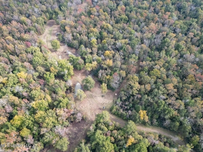 Tensas Parish LA - The Glade Hunting Property - image 13
