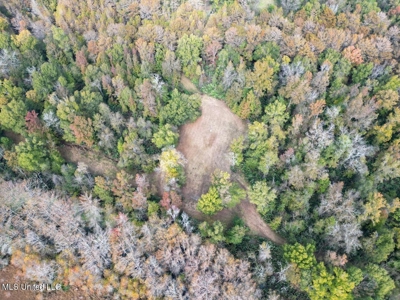 Tensas Parish LA - The Glade Hunting Property - image 6