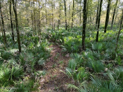 Tensas Parish LA - The Glade Hunting Property - image 22