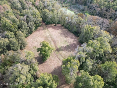 Tensas Parish LA - The Glade Hunting Property - image 15